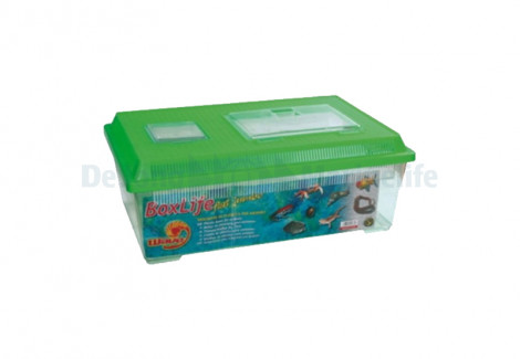 Boxlife Flat Jumbo 45X30X17,5