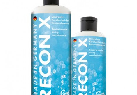 Recon X - 1000 Ml