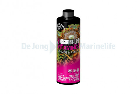 Vitamins & Amino Acids - 473Ml