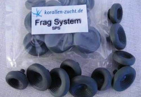 Frag System Sps + Soft Corals - 10 Pcs