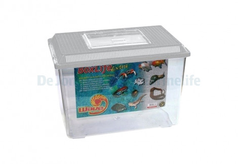 Boxlife Extra 41X26,5X30