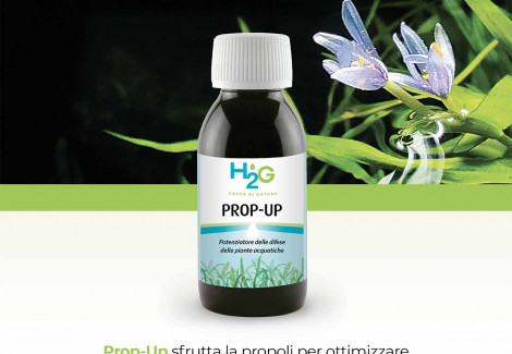 Prop Up Machine Prop-Up Flacone 100 Ml - EasyFish Shop