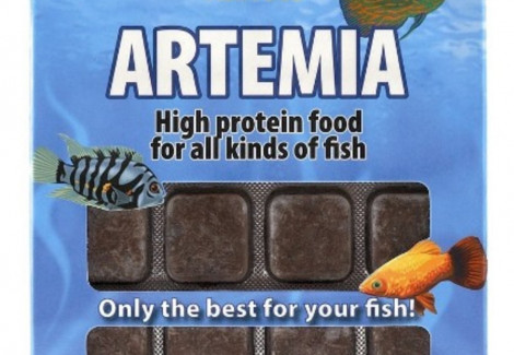 Artemia 100 Gr Blister - 24 Cube New Line M20