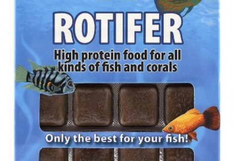 Rotifer 100 Gr Blister - 24 Cube New Line M 20