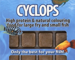 Cyclops 100 Gr Blister - 24 Cube New Line M20
