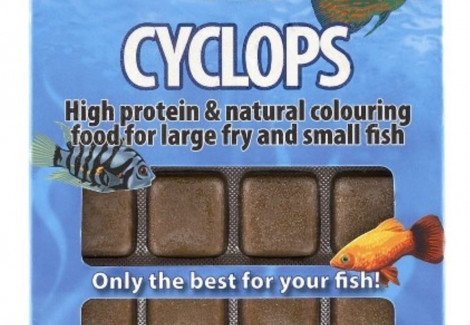 Cyclops 100 Gr Blister - 24 Cube New Line M20