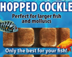 Chopped Cockles 100 Gr Blister - 24 Cube New Line M20