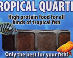 Tropical Quartet 100 Gr Blister - 20 Cube New Line M20