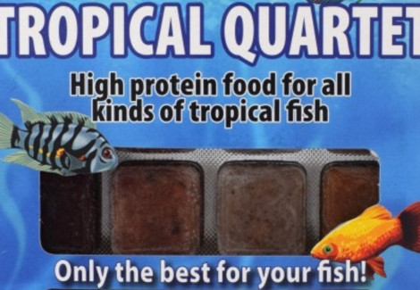 Tropical Quartet 100 Gr Blister - 20 Cube New Line M20