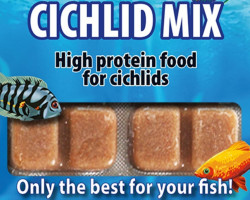 Cichlid Mix 100 Gr Blister - 20 Cube New Line M20