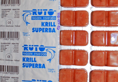 Krill Superba 100 Gr Blister M20