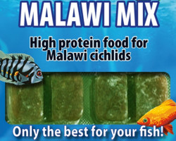 Malawi Mix 100 Gr Blister - 20 Cube New Line M20