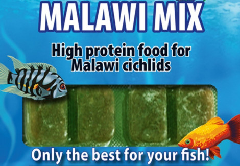 Malawi Mix 100 Gr Blister - 20 Cube New Line M20