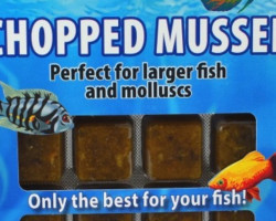 Chopped Mussel 100 Gr Blister - 20 Cube New Line M20