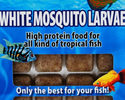 White Mosquito 100 Gr Blister - 20 Cube New Line M20
