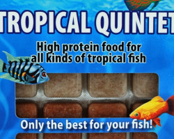 Tropical Quintet 100 Gr Blister - 20 Cube New Line M20