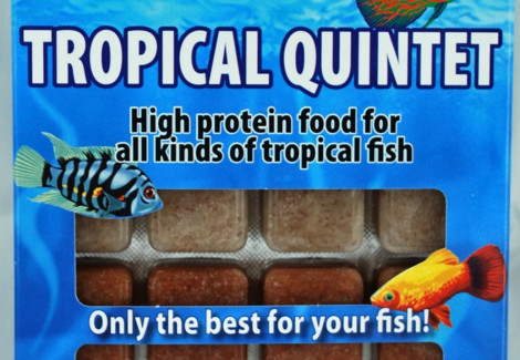 Tropical Quintet 100 Gr Blister - 20 Cube New Line M20