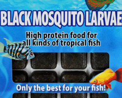 Black Mosquito 100 Gr Blister - 20 Cube New Line M20
