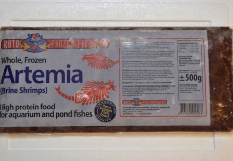 Artemia 500 Gr Flatpack M6
