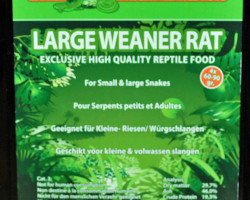 Large Weanerrat 60-90 Gr. X 4