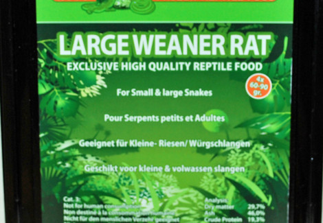 Large Weanerrat 60-90 Gr. X 4