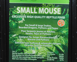 Small Mouse 10-15 Gr X 15