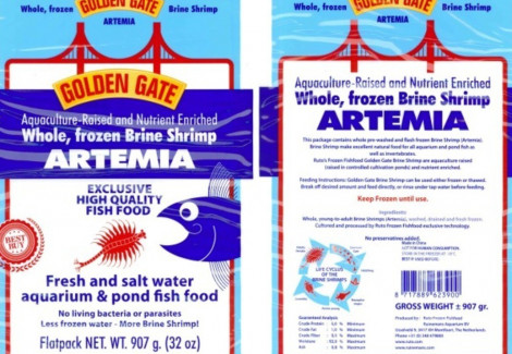 Artemia Golden Gate 907 Gr Flatpack M18